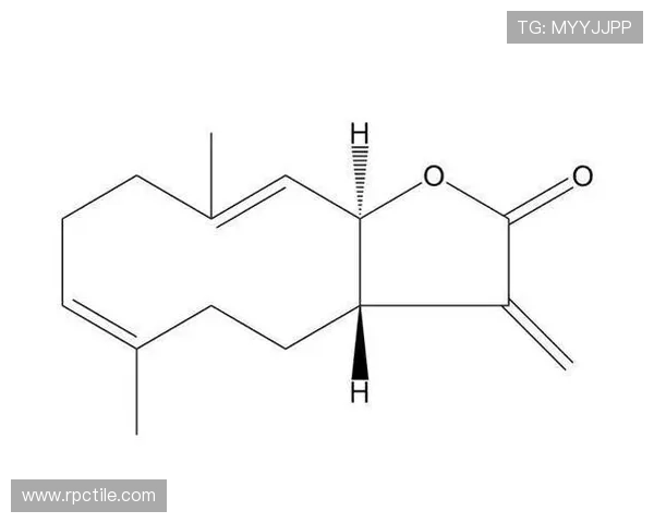 最新k8凯发国际版本更新内容介绍，掌握新功能新玩法抢先体验